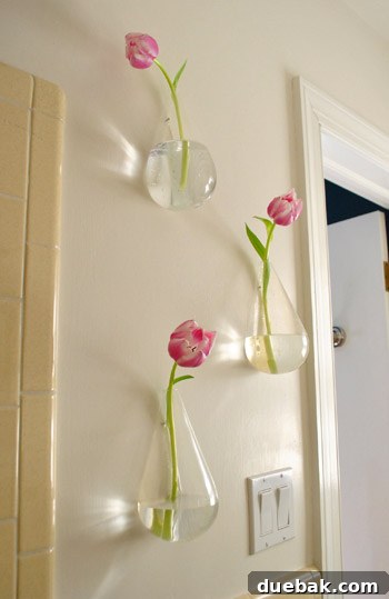 Sculptural Wall Vases 3 Three floating vases newly installed on a wall in a guest bathroom, adding a touch of nature.