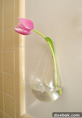Sculptural Wall Vases 6 Close-up of vibrant tulips in a floating vase, declared as the author's favorite flower.