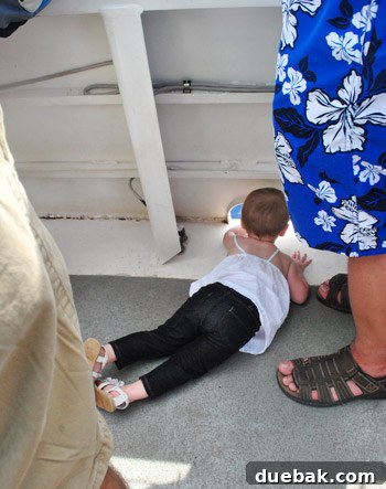 Clara happily settled in her 'perch' on the whale watching boat, looking out to sea.