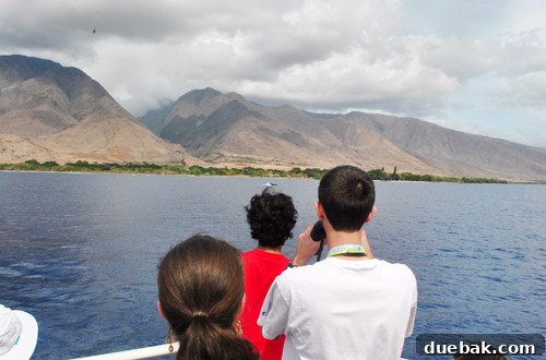 A whale's tail flukes gracefully rise out of the water, a memorable moment during the whale watching tour.