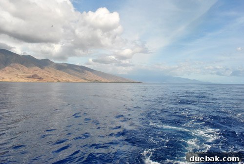 The stunning coastline of Maui, with verdant mountains meeting the turquoise ocean under a clear sky, viewed from the boat.