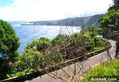 The lush, winding Road to Hana, with vibrant green foliage and glimpses of the ocean.