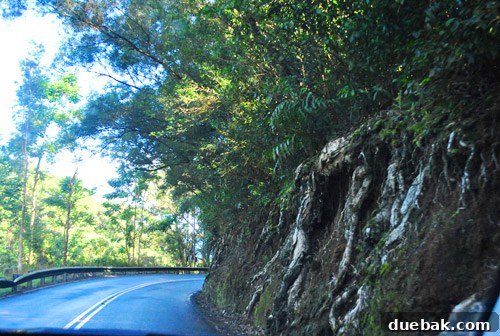 A scenic view of the lush, green mountains and ocean along the Road to Hana.