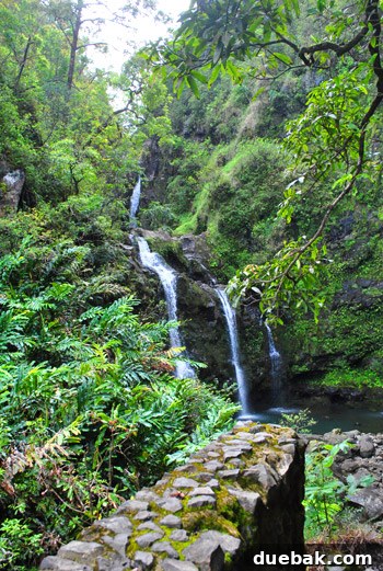 A beautiful waterfall cascades down a verdant cliff, visible from the roadside on the Road to Hana.