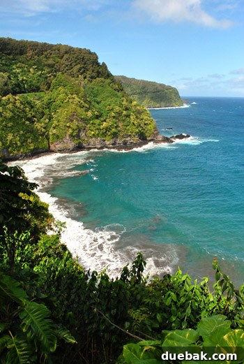 A vibrant green taro field on the Ke'anae Peninsula, with the Pacific Ocean in the background.