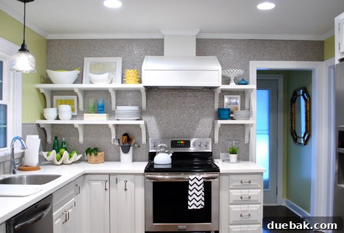 Flawless Penny Tile Repair 2 Initially crowded kitchen shelves