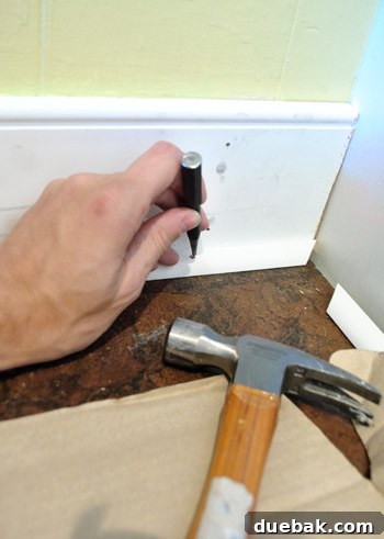 Using a manual nail punch to set nails