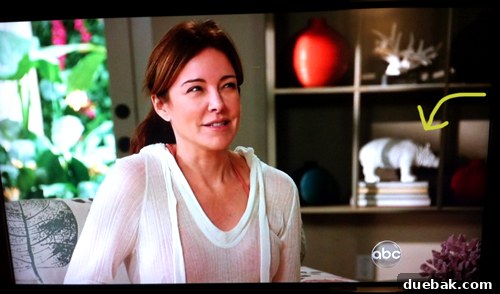 Welcome To Our Home: A Video Tour 2 Our ceramic rhino makes a cameo on CougarTown