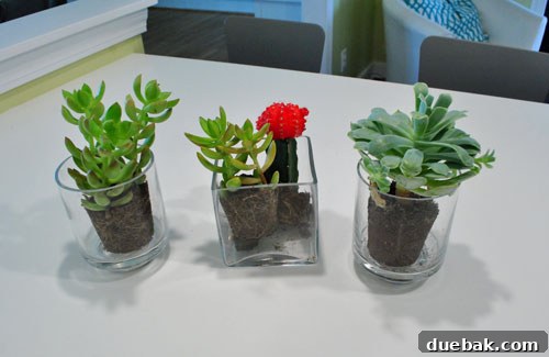 A hand using a spoon to add more potting soil into a glass vase containing a succulent.