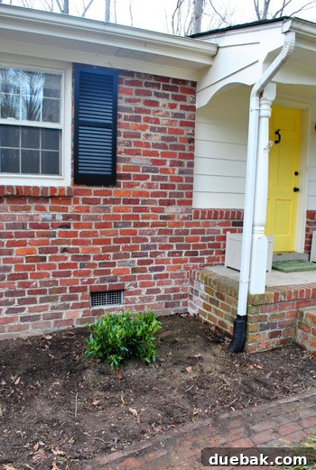 Newly planted Otto Luyken Laurel on the left side of the porch, marking the beginning of foundation planting