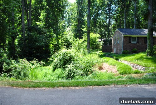 A barren side lot area, emphasizing the potential for new tree plantings to transform the space