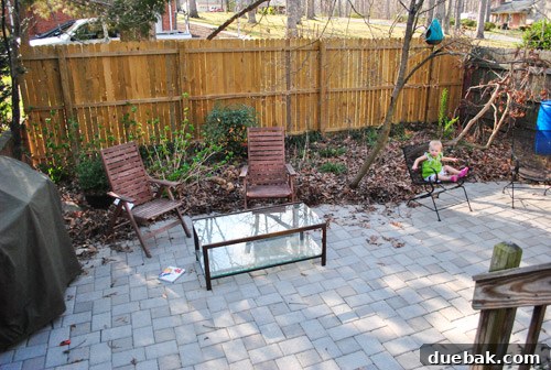 Cultivating Perfect Blue Hydrangeas 2 Overgrown garden behind the patio, showing initial neglect