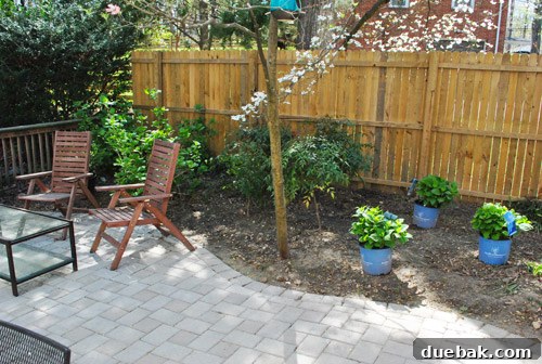 Cultivating Perfect Blue Hydrangeas 14 Newly transplanted nandina bushes grouped together in the garden bed