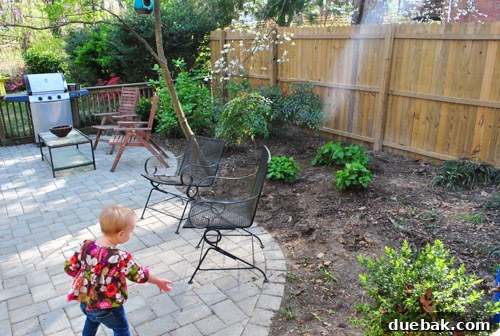 Cultivating Perfect Blue Hydrangeas 16 Clara inspecting the newly planted garden, showing childlike wonder