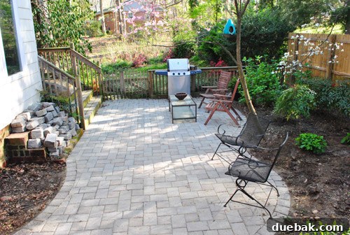 Cultivating Perfect Blue Hydrangeas 17 Garden after new plantings and initial mulching, looking much cleaner