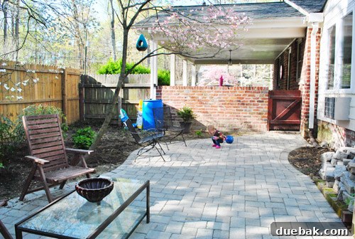 Cultivating Perfect Blue Hydrangeas 19 Garden view from another angle, showing areas still to work on but with significant improvement