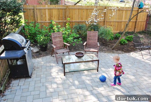 Cultivating Perfect Blue Hydrangeas 25 Third after picture, beautifully showcasing the successful garden transformation