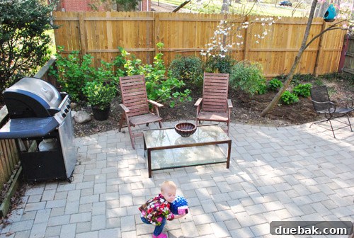 Cultivating Perfect Blue Hydrangeas 28 Clara playfully hiding in the newly transformed garden, a moment of childhood joy