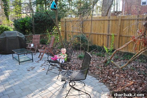 Cultivating Perfect Blue Hydrangeas 6 Katherine, the landscape designer, inspecting the garden to formulate a plan