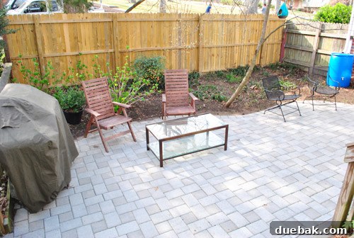 Cultivating Perfect Blue Hydrangeas 7 Garden after diseased plants and dead rhododendron have been removed, with leaves raked