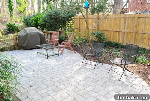 Cultivating Perfect Blue Hydrangeas 8 Patio and garden after initial clearing, showing increased openness and space