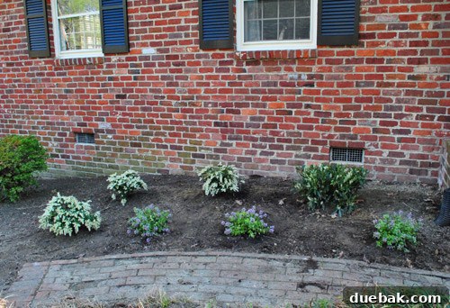 Garden bed with all new plants freshly planted, showing initial layout