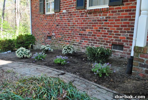 Closer view of newly planted garden bed, showcasing plant spacing
