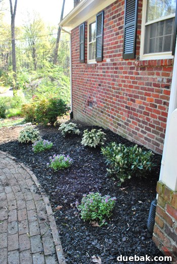 Completed section of the garden bed with mulch applied