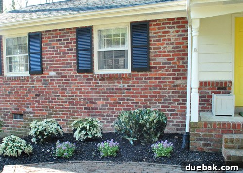 Photoshop rendering of the garden bed with plants at full maturity