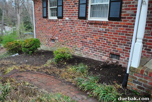Garden bed after raking leaves, showing cleared soil