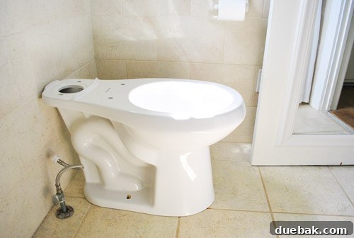 Sunlight glowing in the new toilet bowl