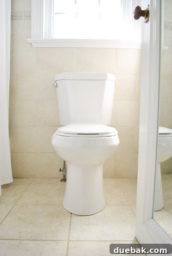 Side view of the new white toilet