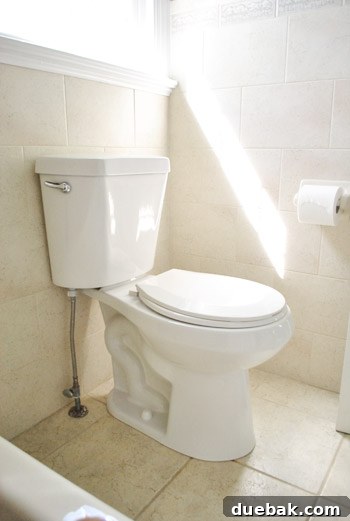New white toilet with bathroom accents