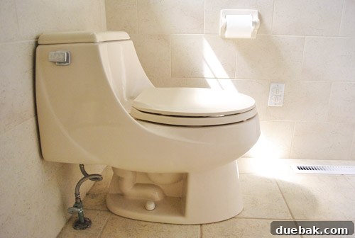 Close-up of the almond toilet