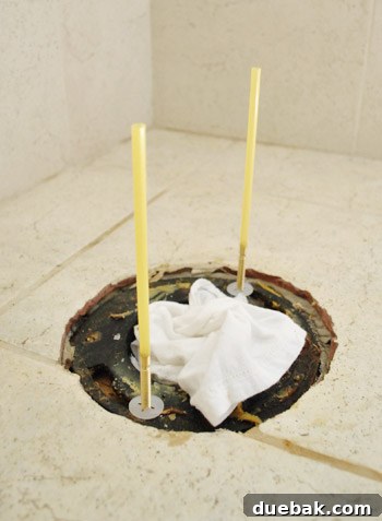 Drinking straws on toilet bolts