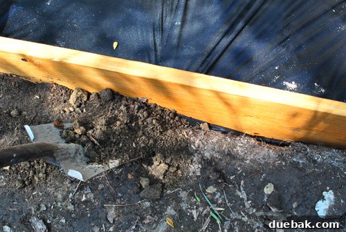 Backfilling around the sandbox