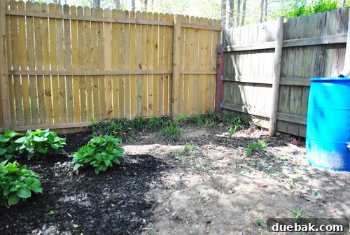 Cleared area for the sandbox next to patio