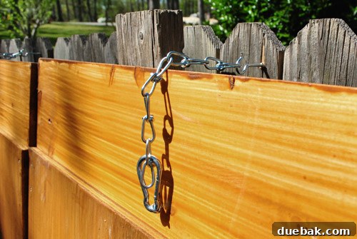 Safety latch mechanism: eye-hook, chain, and carabiner securing the cover