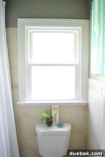 Decorated toilet tank with plant and art