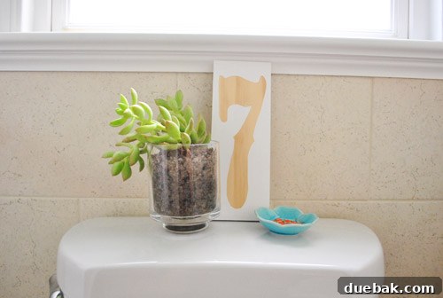 Close-up of toilet tank decor, including art and a succulent