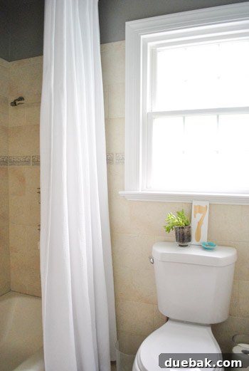 Shower interior with new suction cup storage installed