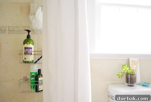 Close-up of suction cup shower caddy with toiletries