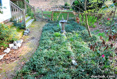 A 'before' shot of a neglected outdoor area, awaiting a DIY patio renovation.