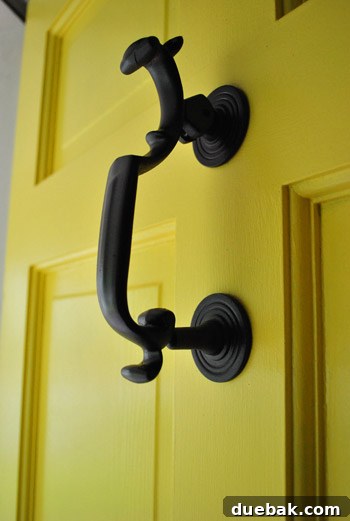 Close-up of an oil-rubbed bronze doorknocker, maintaining its original finish and decorative appeal