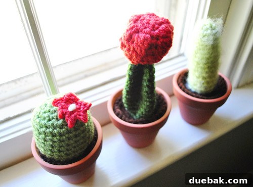 Richmond Craft Fair: Spring Fling 6 The purchased crocheted cacti from Lazymuse Productions