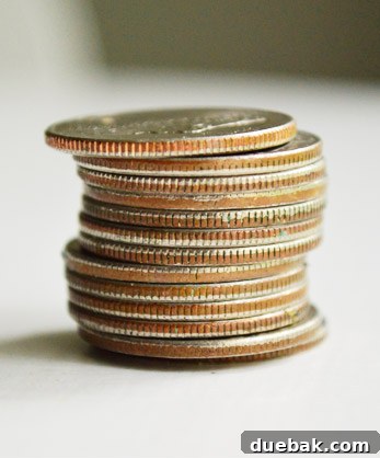 14 Brilliant Budget Hacks to Cut Costs and Grow Your Savings 3 A hand holding a piggy bank, symbolizing debt-free living and savings