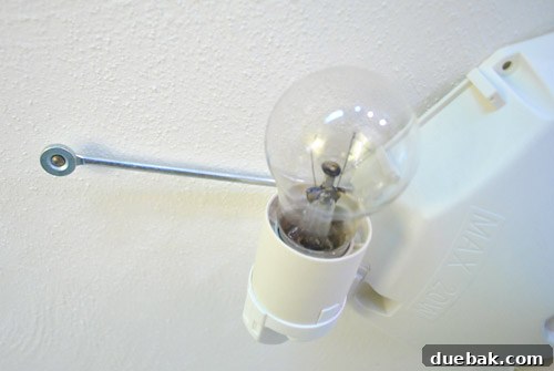 Alang light fixture with incandescent bulbs