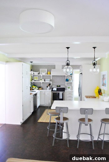 Alang light fixture in context of the living area