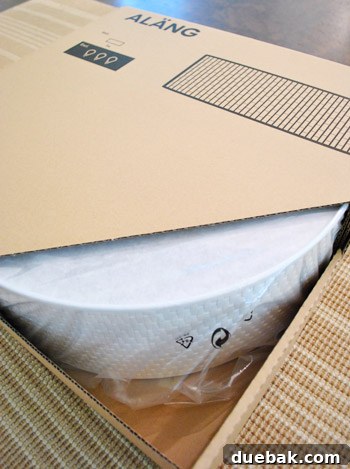 Ikea Alang flush mount light, packaged