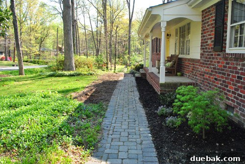April Highlights 3 Front walkway after clearing bushes, now wider